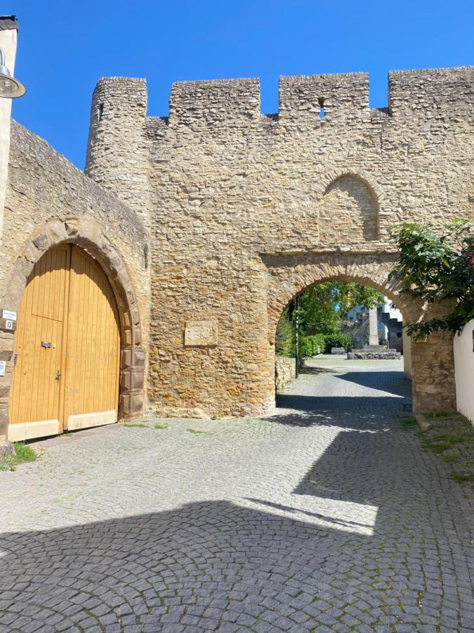 Haeuschen Am Plenzer Βίλα Ingelheim am Rhein Εξωτερικό φωτογραφία
