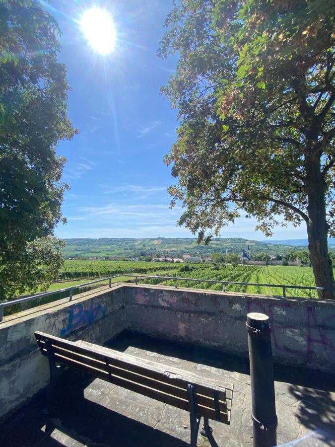 Haeuschen Am Plenzer Βίλα Ingelheim am Rhein Εξωτερικό φωτογραφία