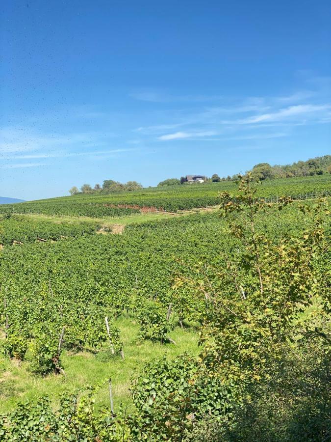 Haeuschen Am Plenzer Βίλα Ingelheim am Rhein Εξωτερικό φωτογραφία