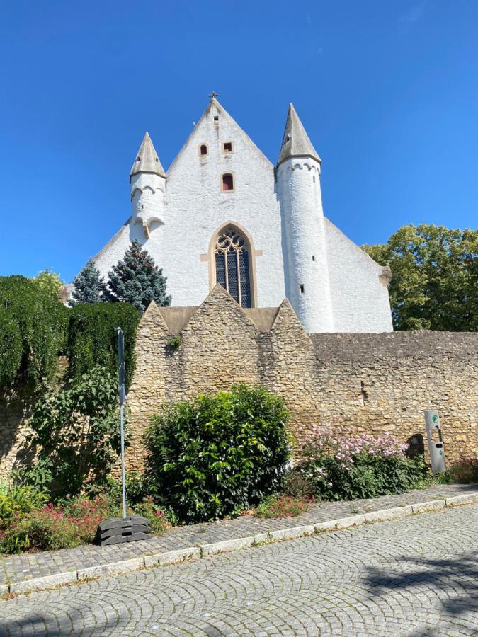Haeuschen Am Plenzer Βίλα Ingelheim am Rhein Εξωτερικό φωτογραφία