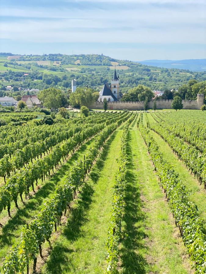 Haeuschen Am Plenzer Βίλα Ingelheim am Rhein Εξωτερικό φωτογραφία