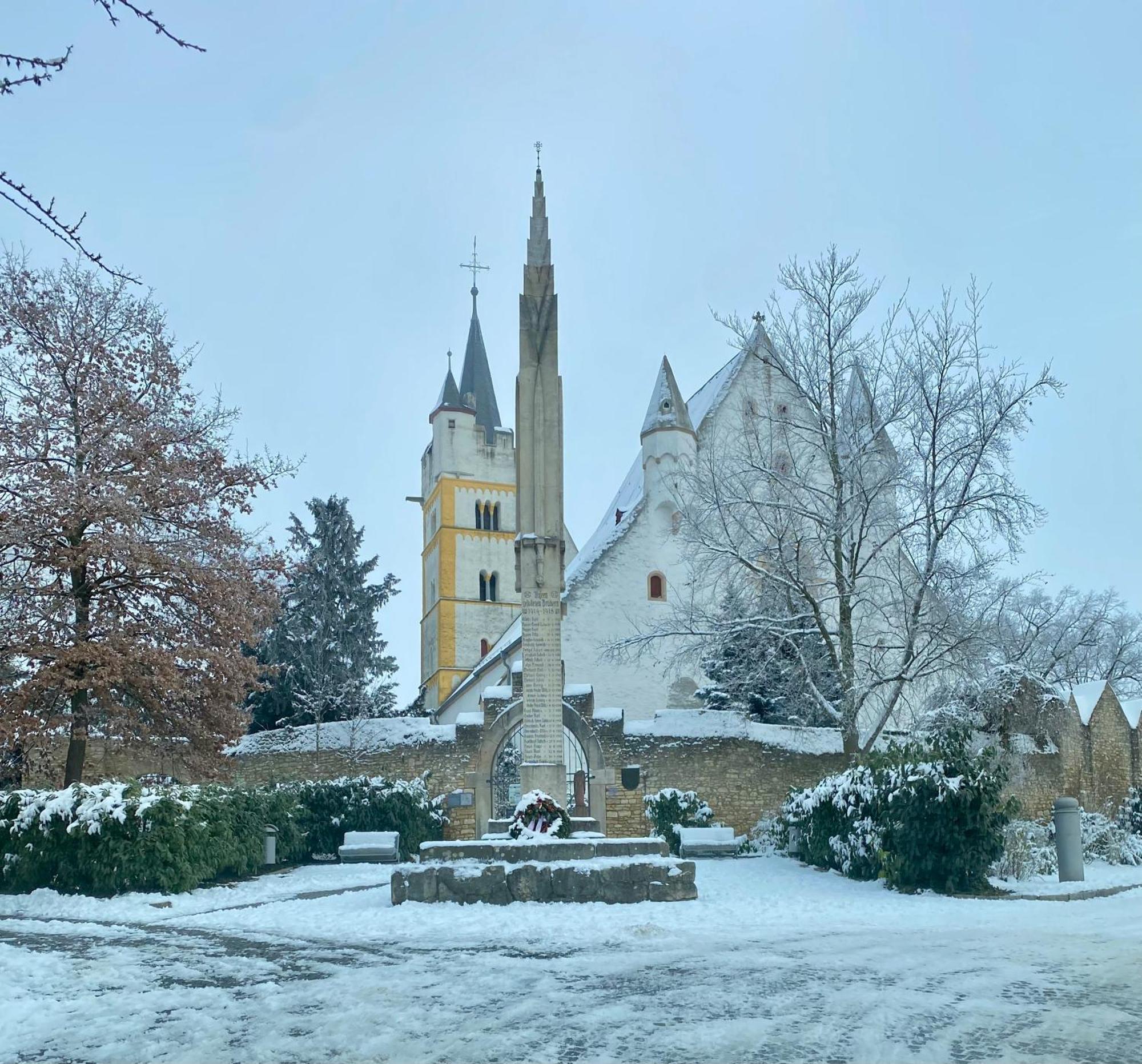 Haeuschen Am Plenzer Βίλα Ingelheim am Rhein Εξωτερικό φωτογραφία